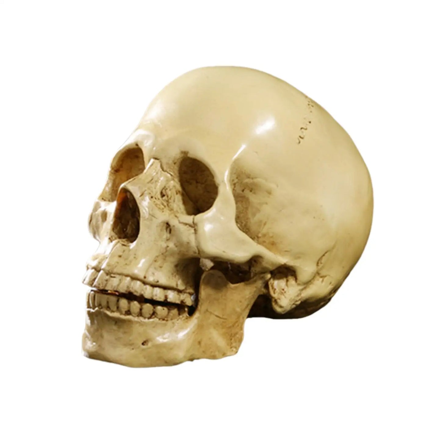 Requiem Skull Replica