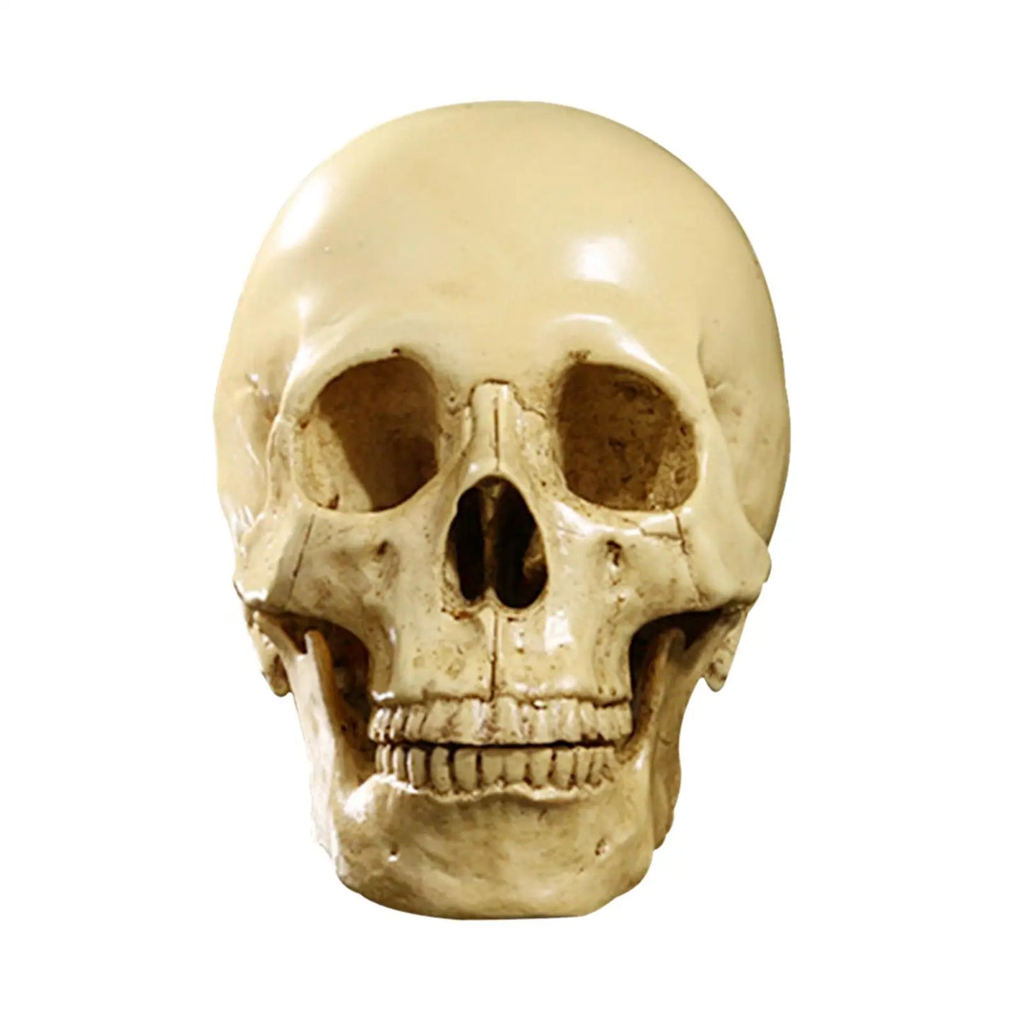 Requiem Skull Replica