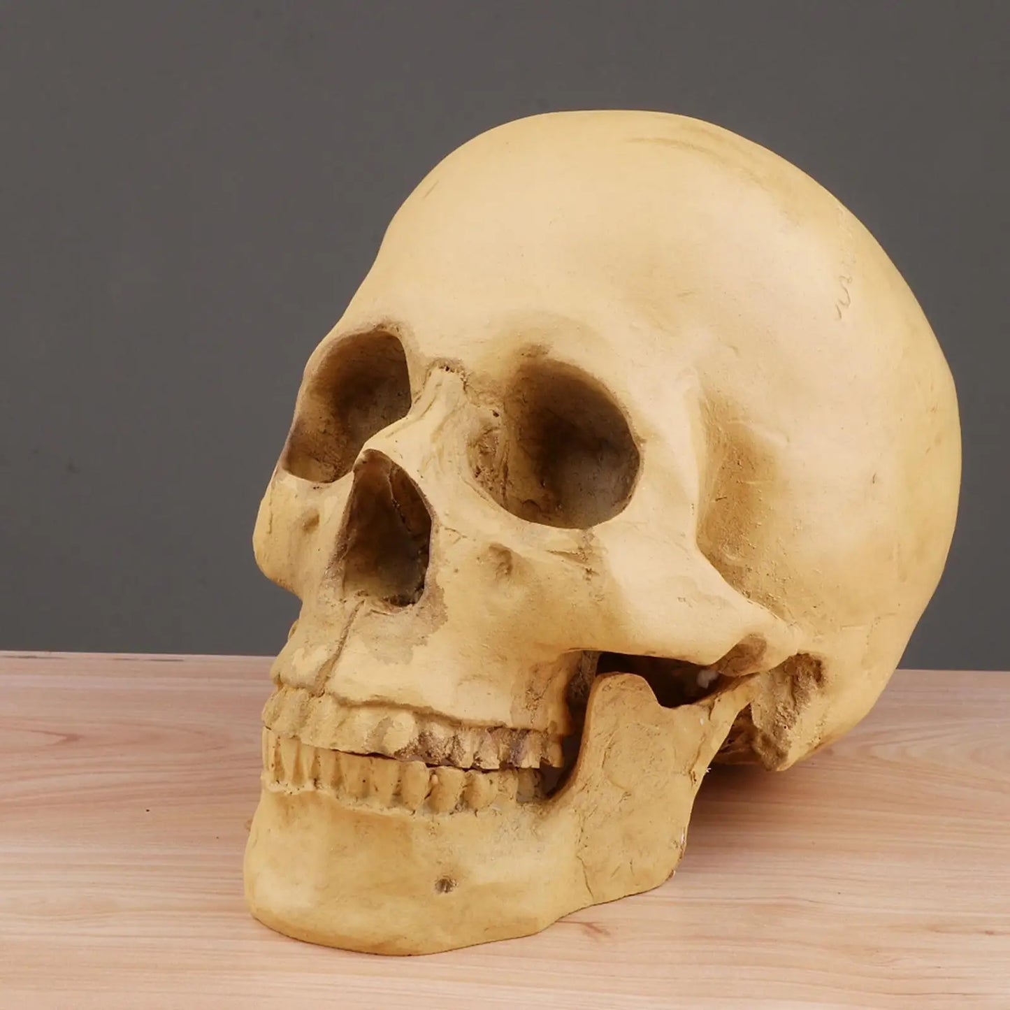 Requiem Skull Replica