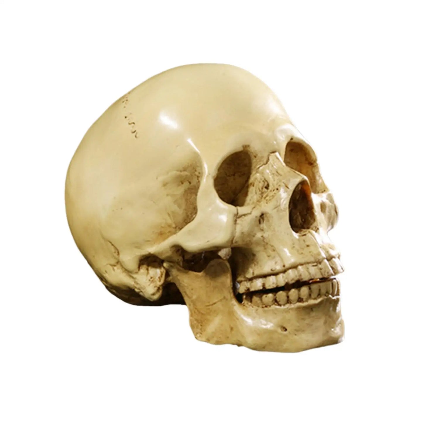 Requiem Skull Replica