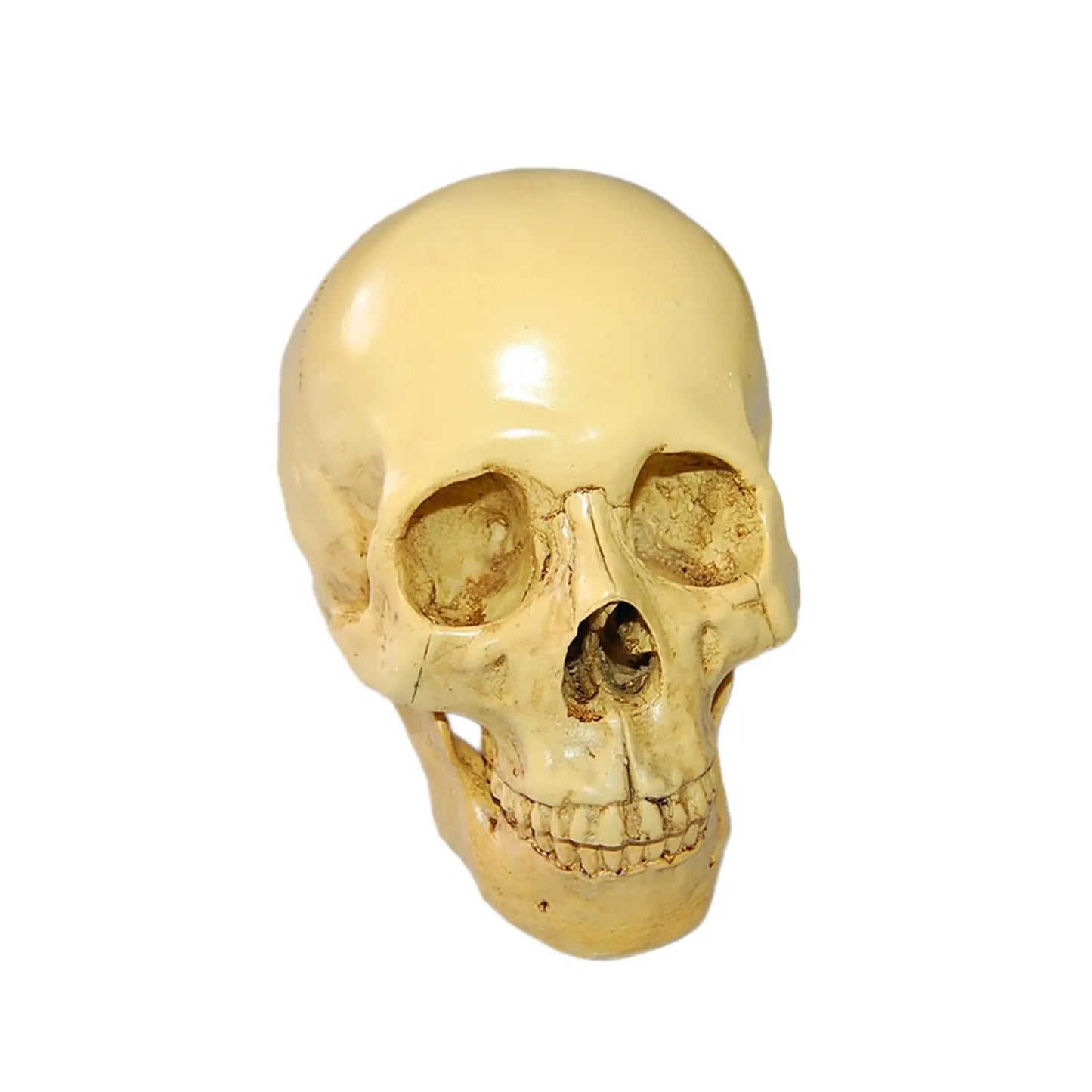 Requiem Skull Replica